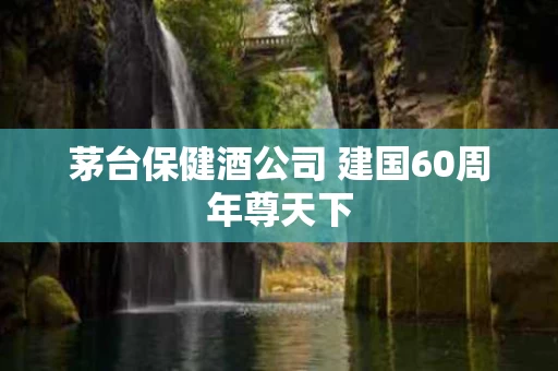 茅台保健酒公司 建国60周年尊天下