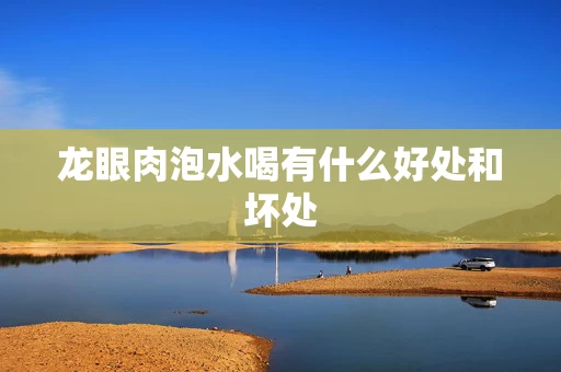 龙眼肉泡水喝有什么好处和坏处