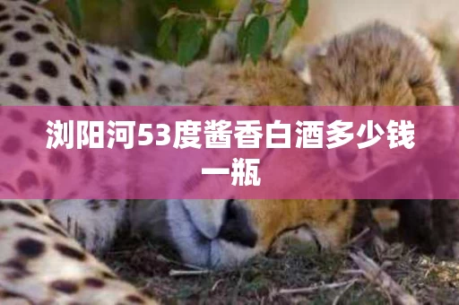 浏阳河53度酱香白酒多少钱一瓶
