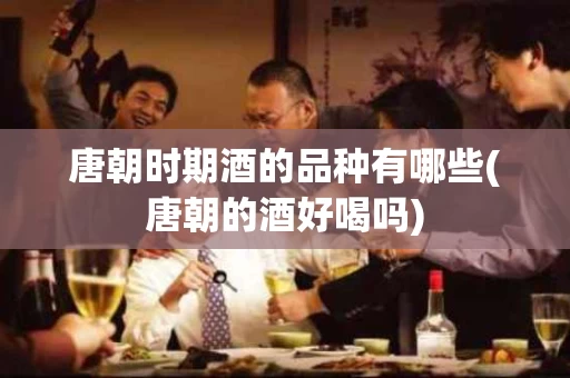 唐朝时期酒的品种有哪些(唐朝的酒好喝吗)