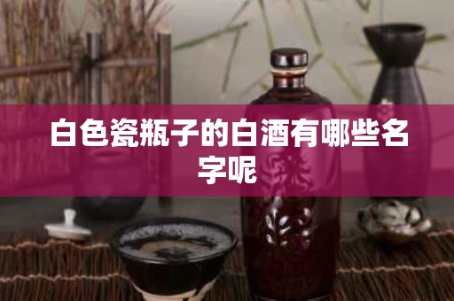 白色瓷瓶子的白酒有哪些名字呢