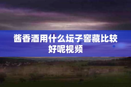 酱香酒用什么坛子窖藏比较好呢视频