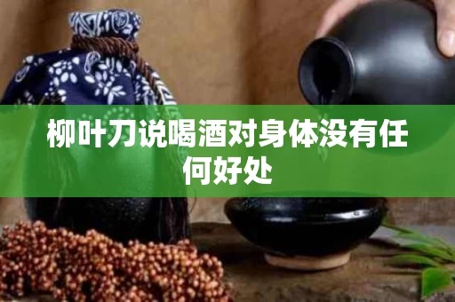 柳叶刀说喝酒对身体没有任何好处