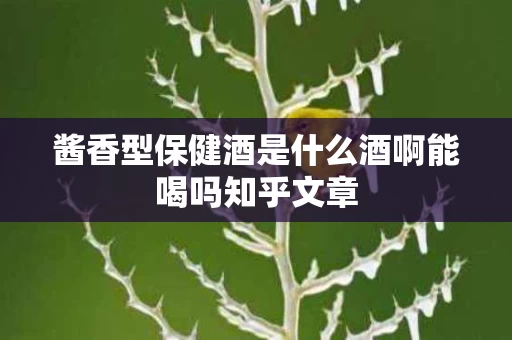 酱香型保健酒是什么酒啊能喝吗知乎文章