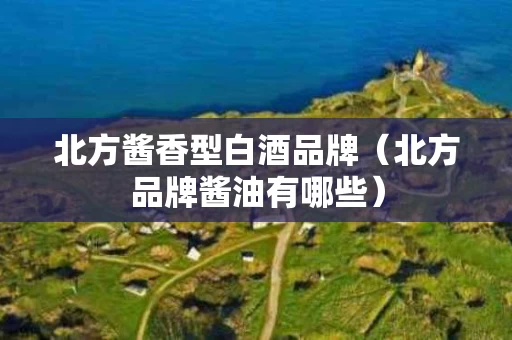 北方酱香型白酒品牌（北方品牌酱油有哪些）