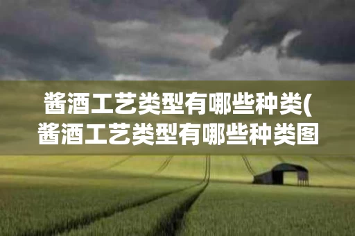 酱酒工艺类型有哪些种类(酱酒工艺类型有哪些种类图片)
