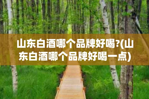 山东白酒哪个品牌好喝?(山东白酒哪个品牌好喝一点)