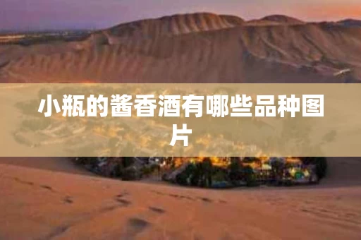 小瓶的酱香酒有哪些品种图片
