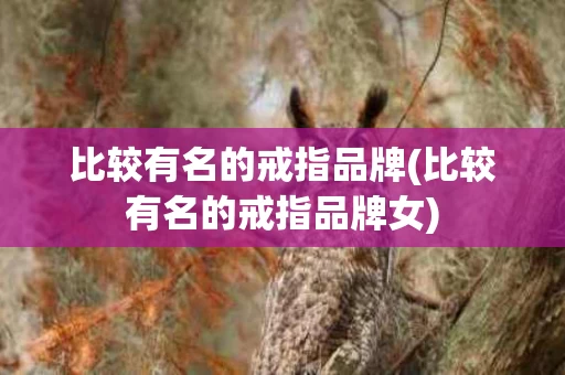 比较有名的戒指品牌(比较有名的戒指品牌女)