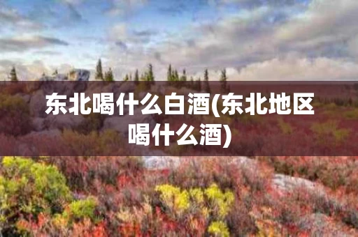 东北喝什么白酒(东北地区喝什么酒)