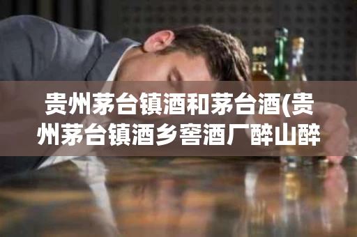 贵州茅台镇酒和茅台酒(贵州茅台镇酒乡窖酒厂醉山醉水酒)