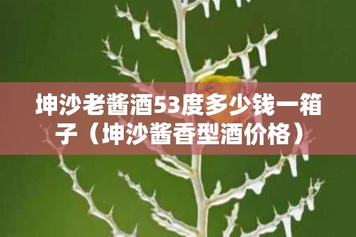 坤沙老酱酒53度多少钱一箱子（坤沙酱香型酒价格）