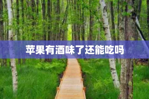 苹果有酒味了还能吃吗