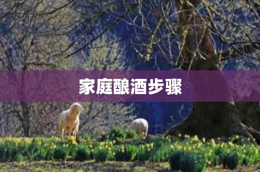家庭酿酒步骤