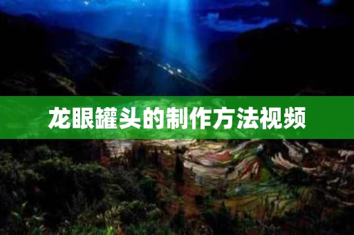 龙眼罐头的制作方法视频