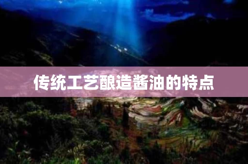 传统工艺酿造酱油的特点