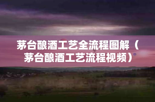 茅台酿酒工艺全流程图解（茅台酿酒工艺流程视频）