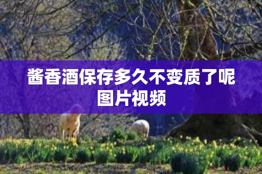 酱香酒保存多久不变质了呢图片视频