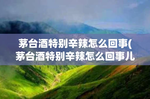 茅台酒特别辛辣怎么回事(茅台酒特别辛辣怎么回事儿)