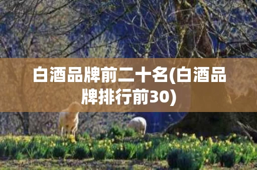 白酒品牌前二十名(白酒品牌排行前30)