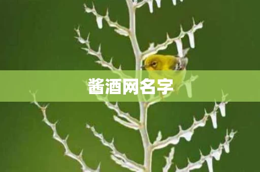 酱酒网名字