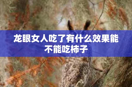 龙眼女人吃了有什么效果能不能吃柿子
