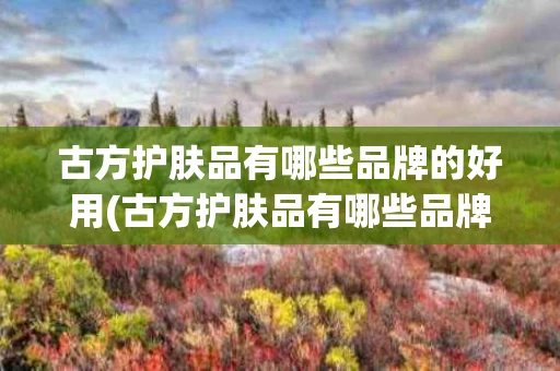 古方护肤品有哪些品牌的好用(古方护肤品有哪些品牌的好用又便宜)