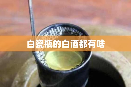 白瓷瓶的白酒都有啥