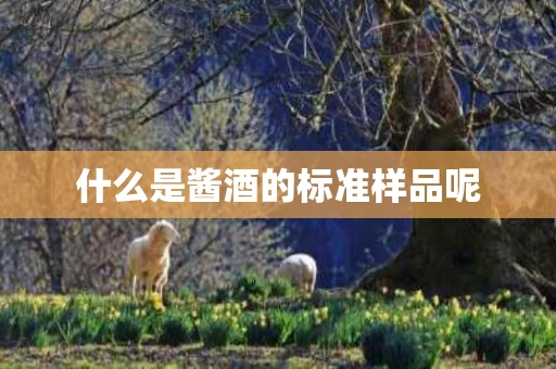 什么是酱酒的标准样品呢