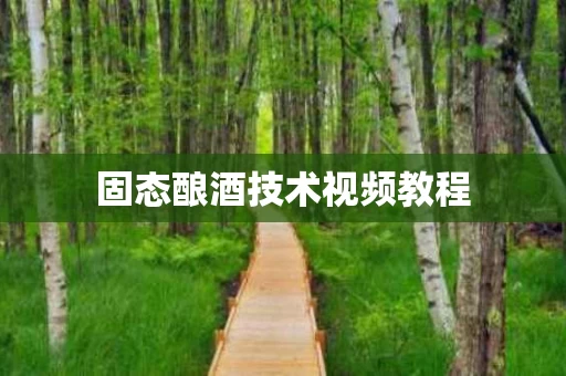 固态酿酒技术视频教程