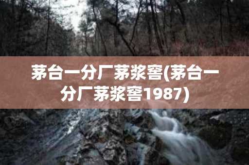 茅台一分厂茅浆窖(茅台一分厂茅浆窖1987)
