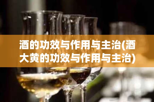 酒的功效与作用与主治(酒大黄的功效与作用与主治)