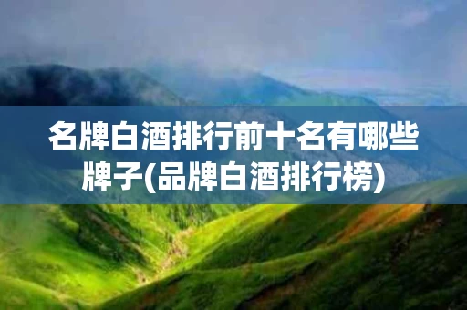 名牌白酒排行前十名有哪些牌子(品牌白酒排行榜)