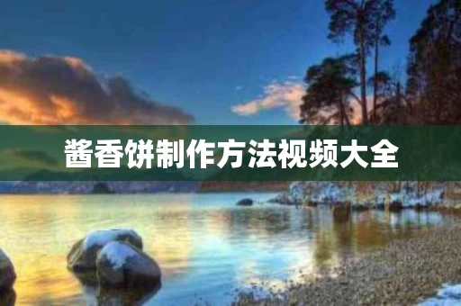 酱香饼制作方法视频大全