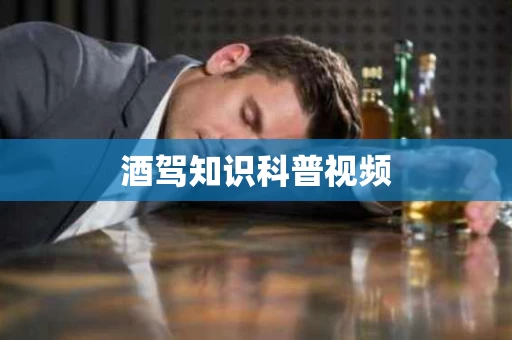 酒驾知识科普视频