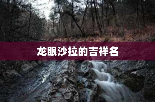 龙眼沙拉的吉祥名