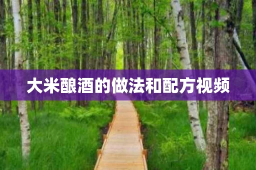 大米酿酒的做法和配方视频