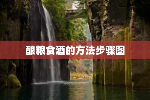 酿粮食酒的方法步骤图
