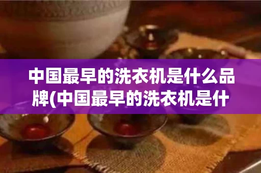中国最早的洗衣机是什么品牌(中国最早的洗衣机是什么牌子的)