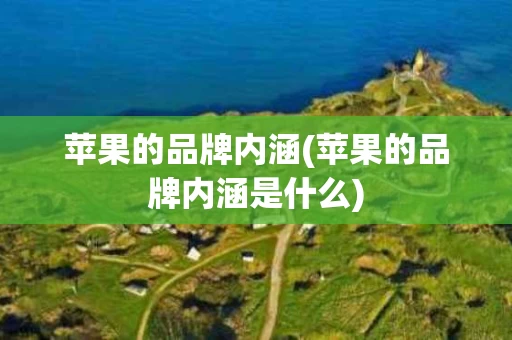 苹果的品牌内涵(苹果的品牌内涵是什么)