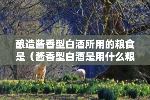 酿造酱香型白酒所用的粮食是（酱香型白酒是用什么粮食做的）