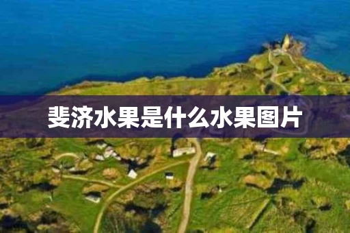 斐济水果是什么水果图片