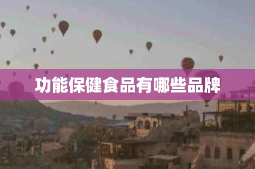 功能保健食品有哪些品牌