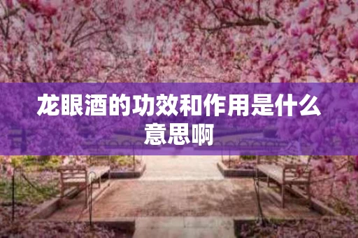 龙眼酒的功效和作用是什么意思啊