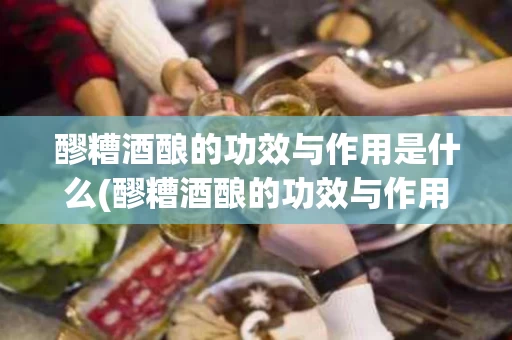 醪糟酒酿的功效与作用是什么(醪糟酒酿的功效与作用是什么呢)