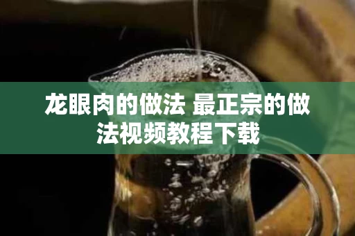 龙眼肉的做法 最正宗的做法视频教程下载