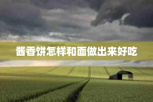 酱香饼怎样和面做出来好吃