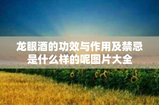 龙眼酒的功效与作用及禁忌是什么样的呢图片大全