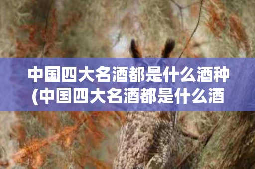 中国四大名酒都是什么酒种(中国四大名酒都是什么酒种的)