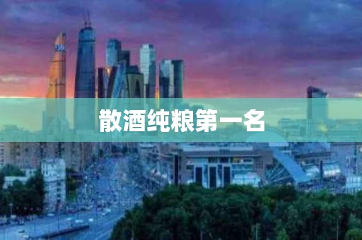 散酒纯粮第一名